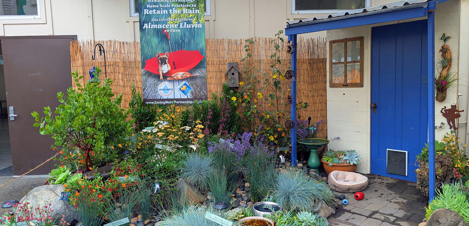 A display of low water use plants in a rain garden at the Sonoma County Fair
