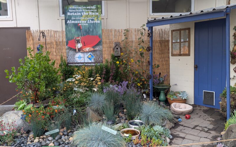 Demonstration garden exhibit featuring a rain garden, low water use plants, and pollinator habitat.