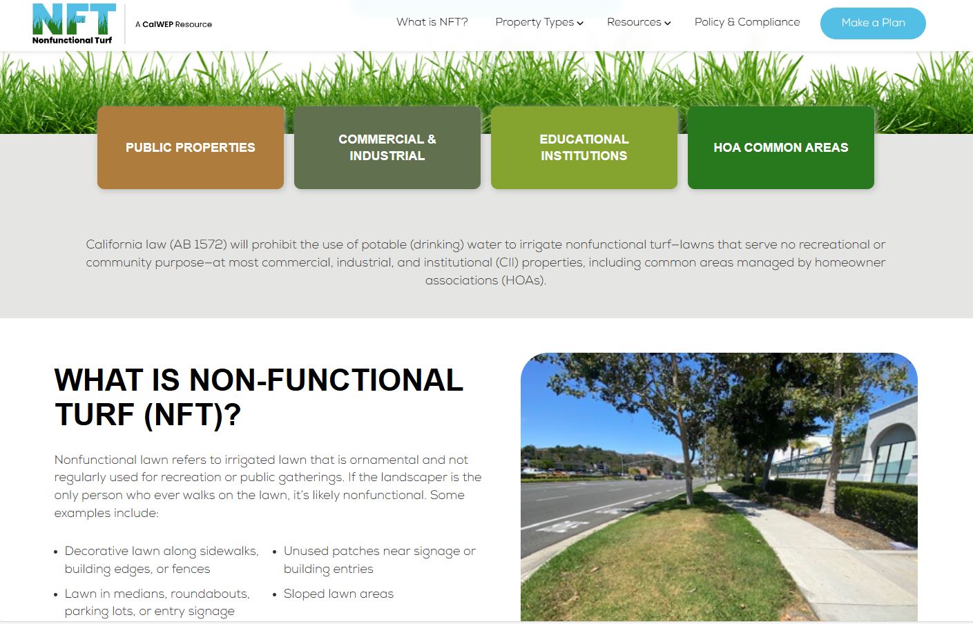 NFT Website Screenshot