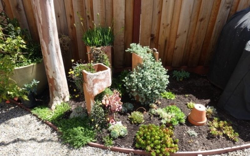 Broken terracotta pots refurbished to hold succulents that spill out of them
