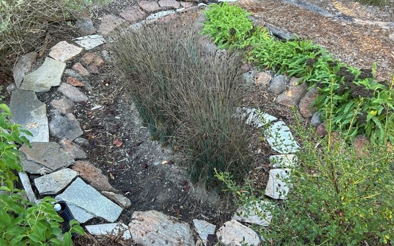A spiral-patterned rain garden design