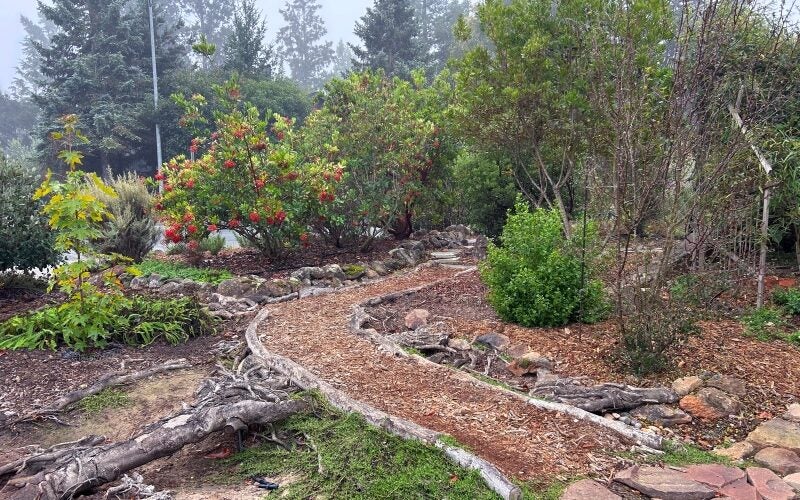A dry rain garden with places for water to pool