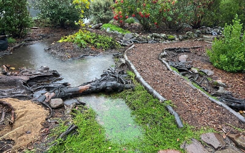 Raingarden filled with water