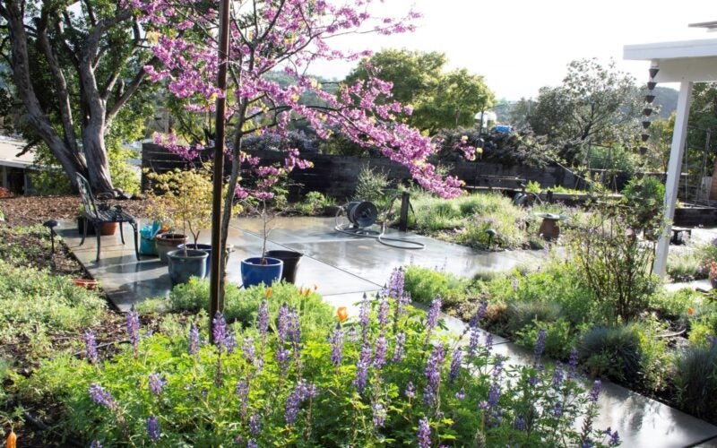 A paved area of a backyard is surrounded by blooming plants