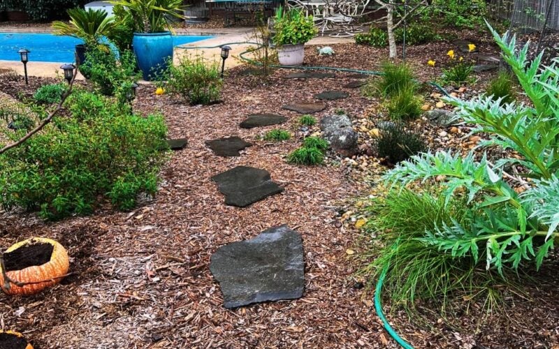 Pavers placed in mulch provide a walkway through the garden
