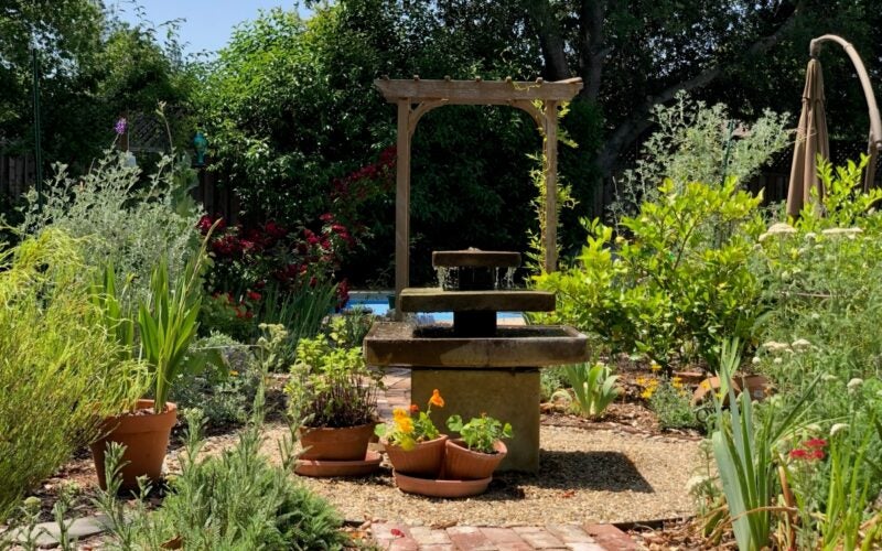 A small fountain with an arch behind it is surrounded by green plants