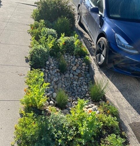 The rocks on the curb with bright green grasses and no water pooled
