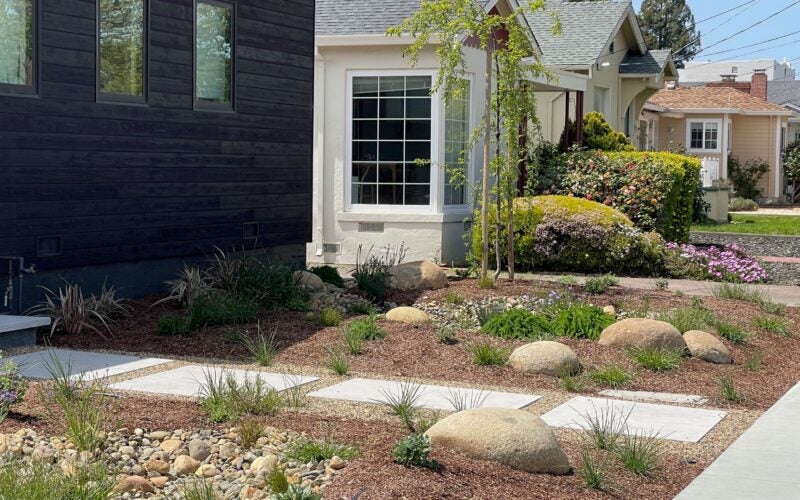 The front yard of an entirely black-painted house with mulch and small grasses
