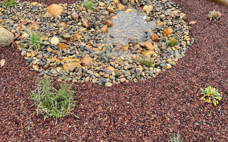 A rain garden made of small, smooth rocks has collected water