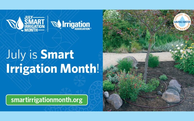 A tree irrigated with spirals of drip irrigation tubing is shown in a natural garden setting, with contrasting blue background and sidebar that reads 'July is Smart Irrigation Month' with Irrigation Association and Sonoma Marin Saving Water Partnership logos and link to smartirrigationmonth.org