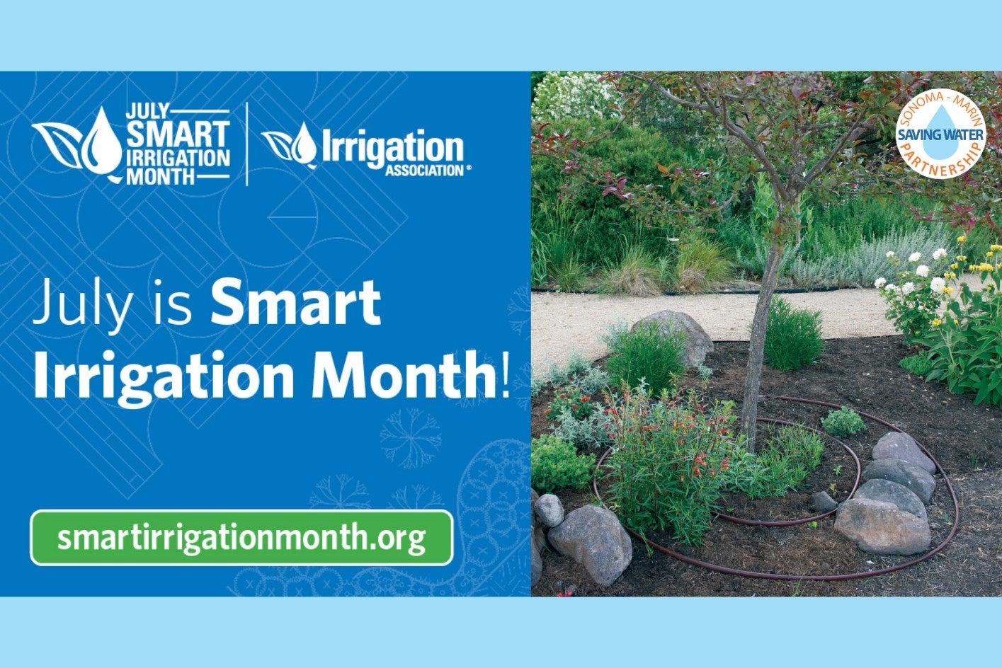 A tree irrigated with spirals of drip irrigation tubing is shown in a natural garden setting, with contrasting blue background and sidebar that reads 'July is Smart Irrigation Month' with Irrigation Association and Sonoma Marin Saving Water Partnership logos and link to smartirrigationmonth.org