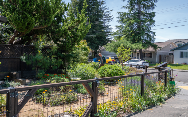 After photo of a front corner residential lot where lawn was converted and is now a meandering decomposed granite path with a low wood and wire fence. Orange and purple flowers are blooming