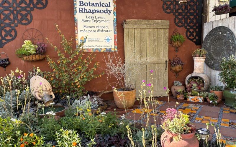 Waterwise demonstration garden with colorful tile patio, California native plants and many potted succulents. Sign says 'Botanical Rhapsody. Less Lawn more enjoyment. Menos cesped, mas para disfrutar'